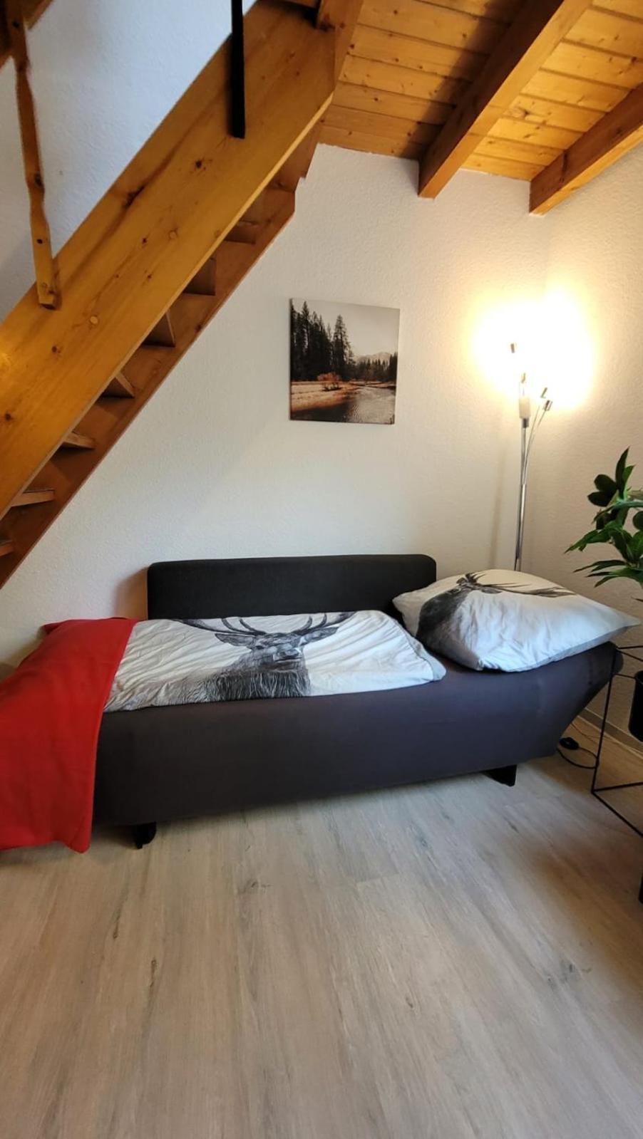 Berg-Buedchen - Schnuckelige Maisonette-Fewo - Gemuetlich Und Guenstig Sankt Andreasberg Bagian luar foto